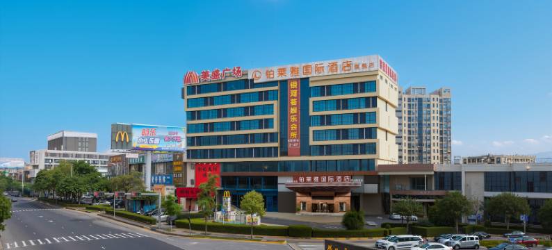 铂莱雅国际酒店(佛山西站店)图片