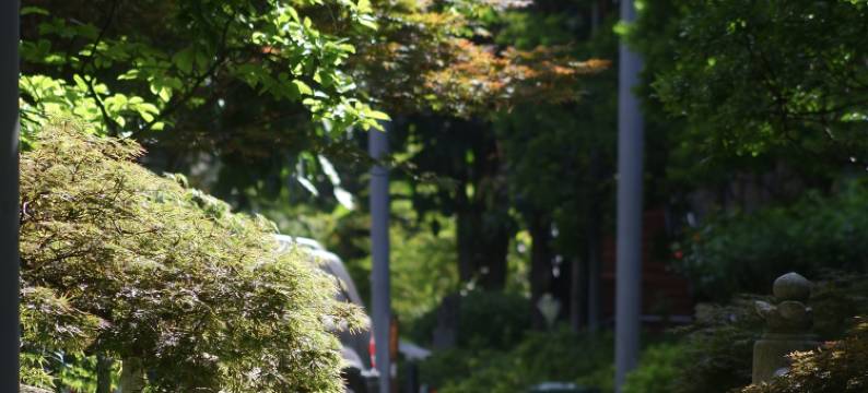 大理古城•丽怡COUNTRY•花园度假酒店图片