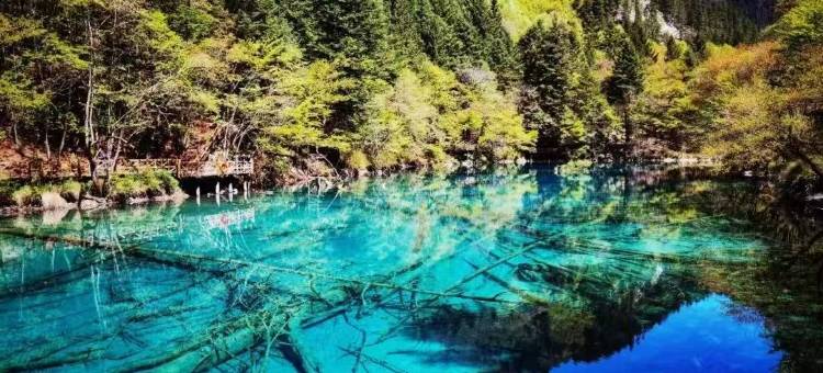 九寨沟云海居民宿(九寨沟景区店)图片