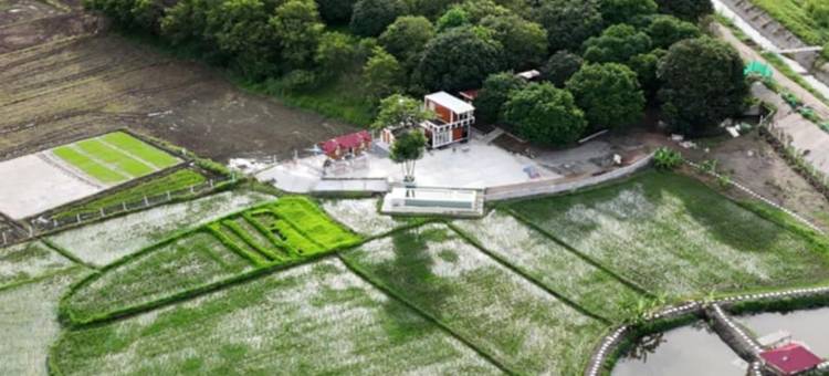Sakahan Farm图片