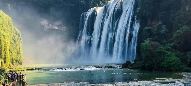 安顺·华博度假酒店(苗岭烤全羊柴火鸡店)图片