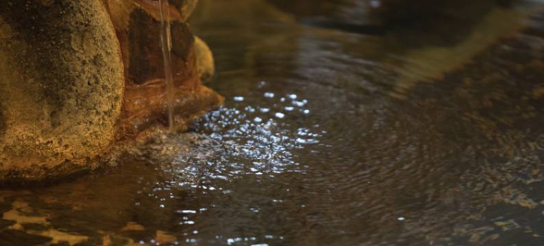 吉野日式旅馆(Hotel yoshino)图片