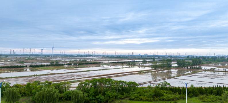 滨海雅朵酒店图片
