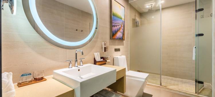 麗枫酒店(江门开平益华广场店)图片