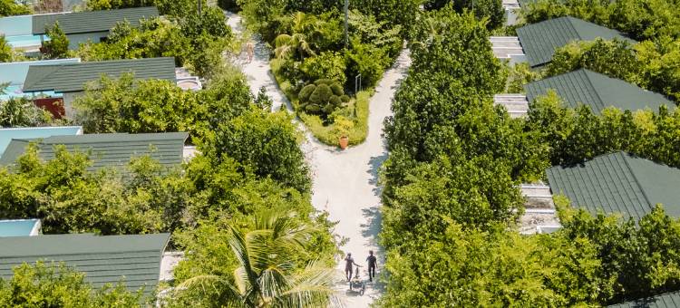 马尔代夫欢乐岛全包度假村(Joy Island Maldives by Cocoon Collection)图片