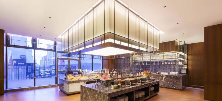 星龙国际酒店(乌鲁木齐天山国际机场店)图片