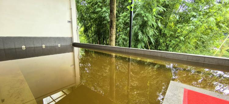 雅安聚贤温泉民宿(周公山旅游度假区店)图片