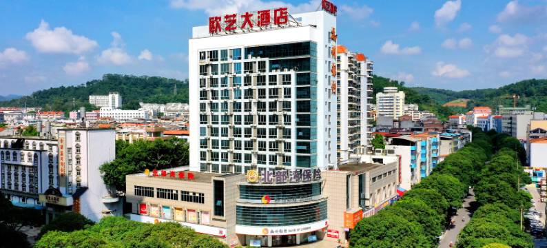 欧艺大酒店(右江民族医学院附属医院店)图片