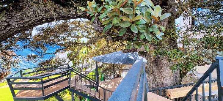 泊旅梅里古树青年民宿(飞来寺梅里雪山景区店)图片