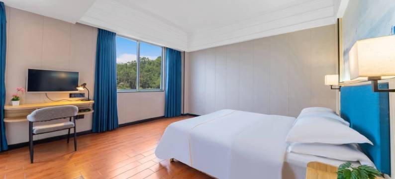 阳江金盾假日酒店(东汇城店)图片