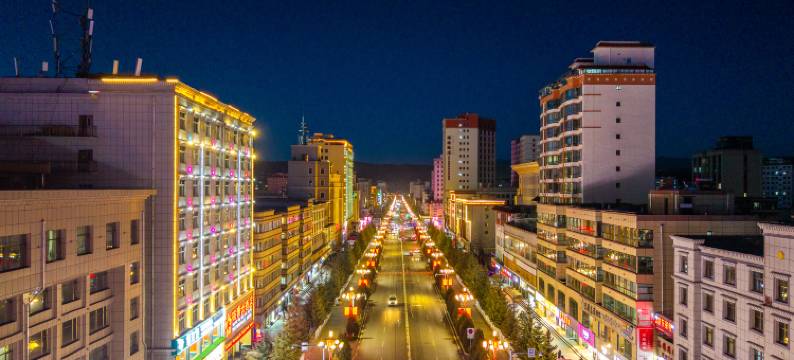 合作桃源大酒店(香巴拉文化广场店)图片