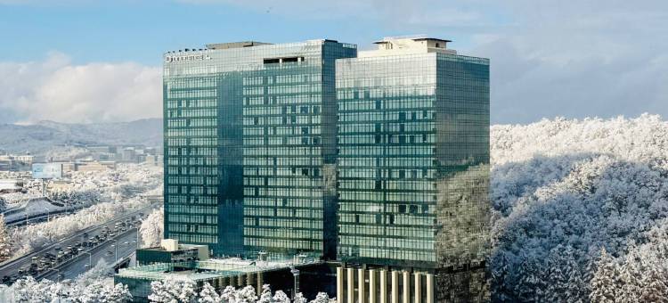 首尔板桥希尔顿逸林公寓酒店(DoubleTree by Hilton Seoul Pangyo Residences)图片