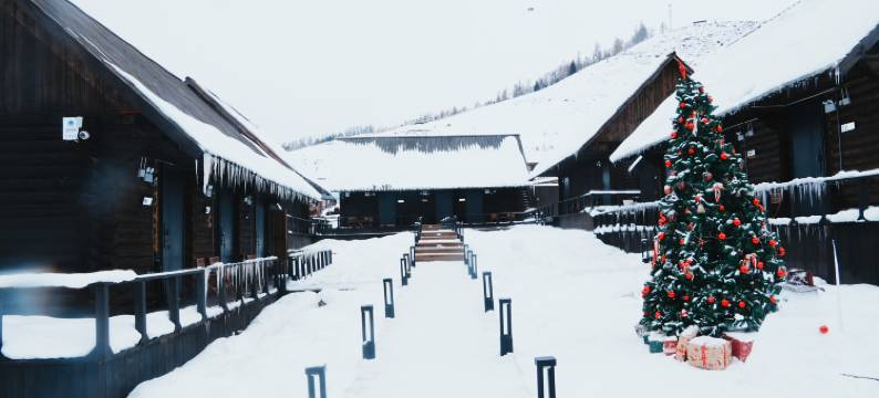 深山见•山野如许•自然美学花园庭院民宿(白哈巴老村店)图片