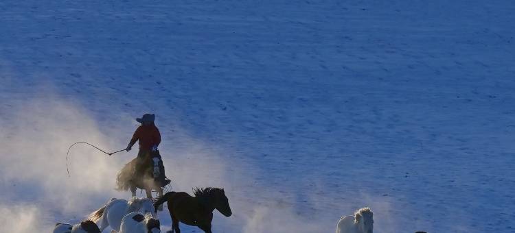 花筑·澜奢庭院美宿(乌兰布统草原景区店)图片