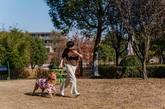 天目湖涵田度假村•萌舍图片