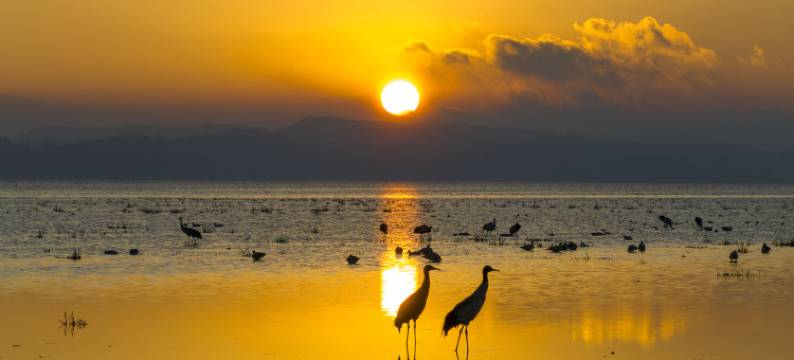 威宁蓝湾酒店(草海北坡生态公园会展中心店)图片