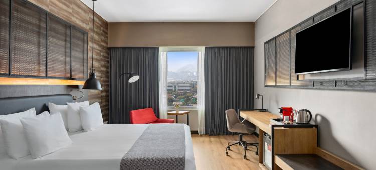 蒙特雷圣佩德罗诺翰精选(NH Collection Monterrey San Pedro)图片