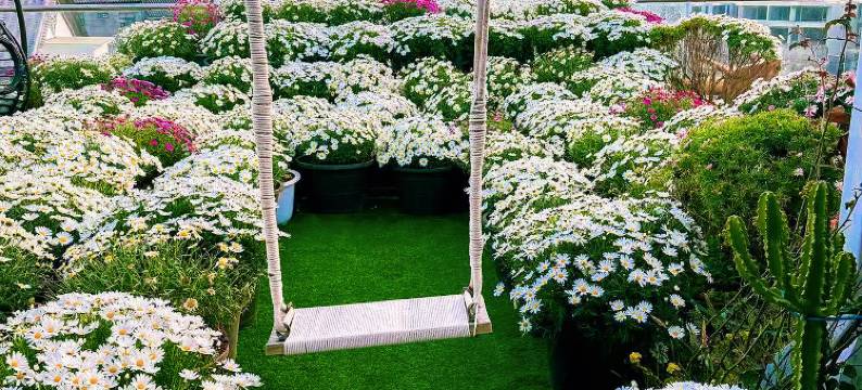 理昂·落云海景民宿图片