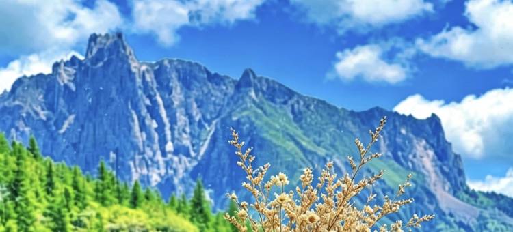 隐居·Sunny|天空之城观景美宿(达日观景台店)图片