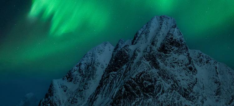 Astra Whale——罗弗敦群岛海滨精品青年旅舍(Astra Whale - Waterfront Boutique Hostel, Lofoten)图片