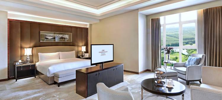 天津京基皇冠假日酒店(新国家会展中心津南大学城店)图片