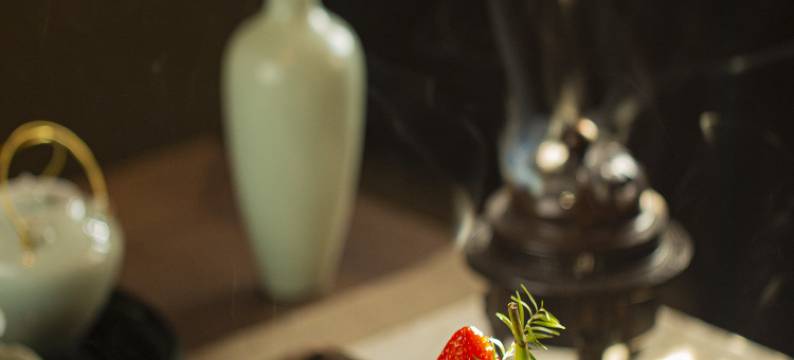 北京世园璞燊酒店图片