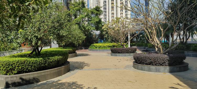 克洛维酒店公寓(深圳站罗湖地铁站店)图片