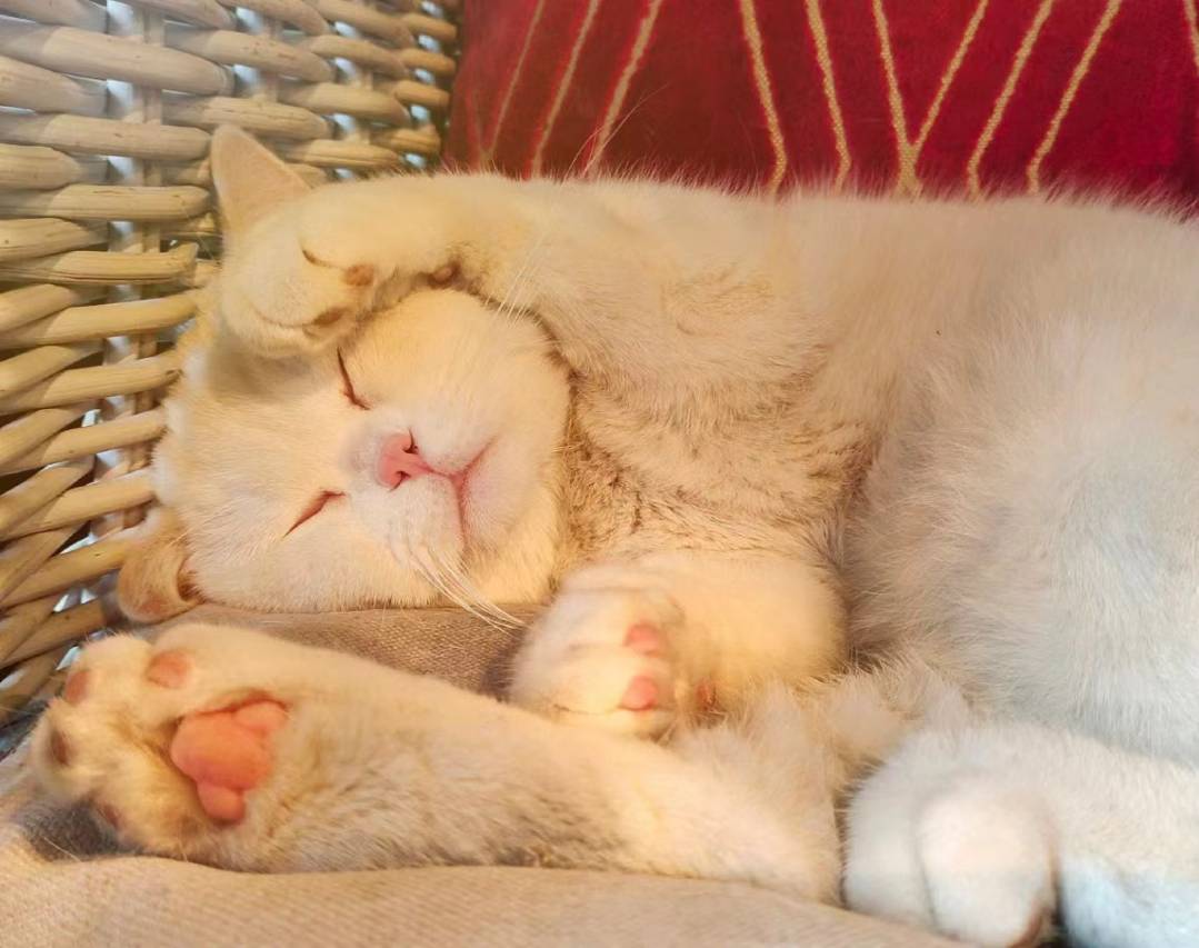 莫干山芝麻谷艺术酒店图片