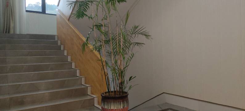 舜溪潍民宿图片