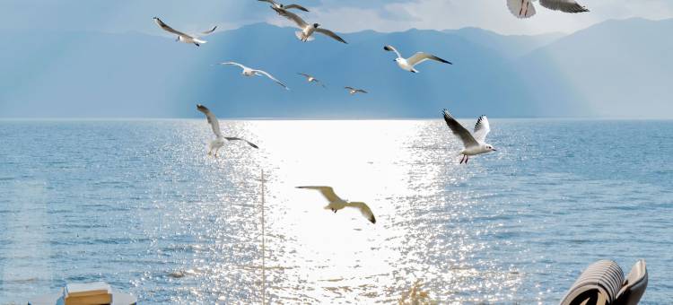 丽思漫·芙罗拉海景酒店(大理洱海双廊店)图片