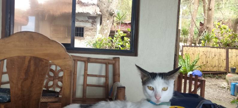 帕希尔德尔玛潜水度假酒店(Paseo Del Mar Seaside Inn)图片