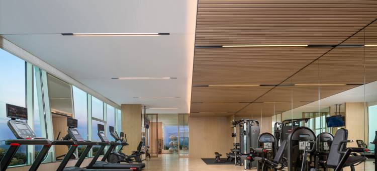 成都东部新区假日酒店图片