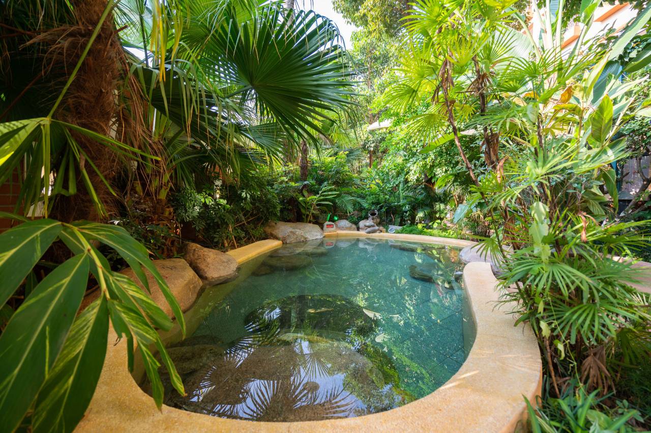 昆明海丽宾雅万达嘉华温泉酒店图片