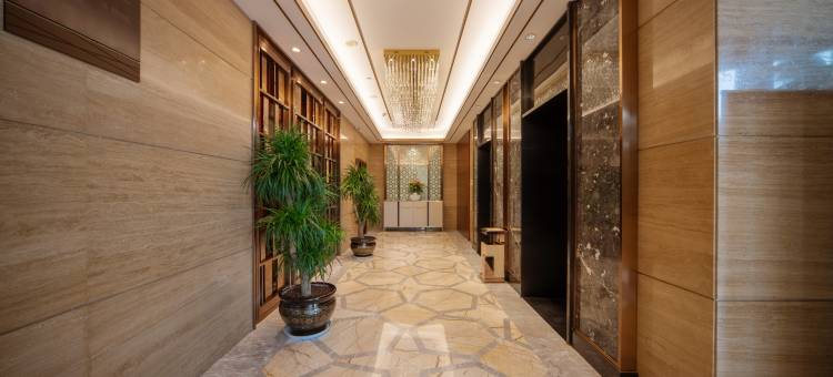 龙阳国际大酒店(汉寿万达广场店)图片