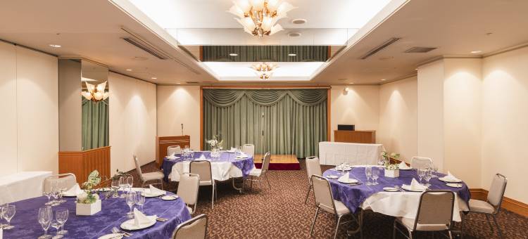 新泻灿路都大饭店(Hotel Sunroute Niigata)图片