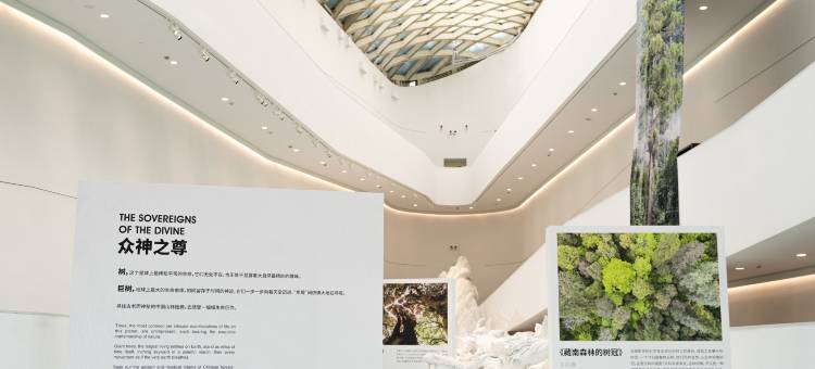 杭州西溪悦椿度假酒店图片