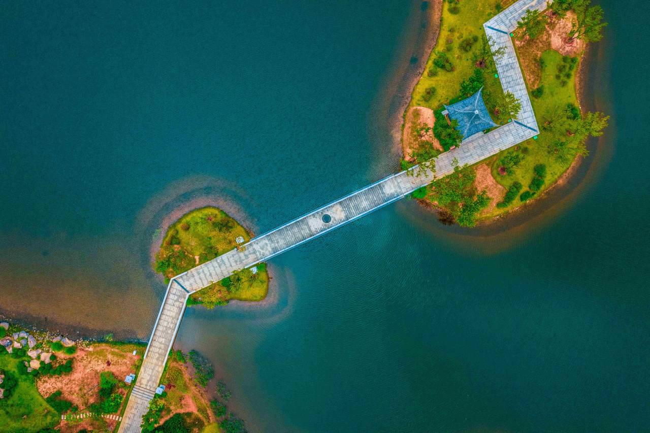 昌宁盛世金樽大酒店(茶韵公园店)图片