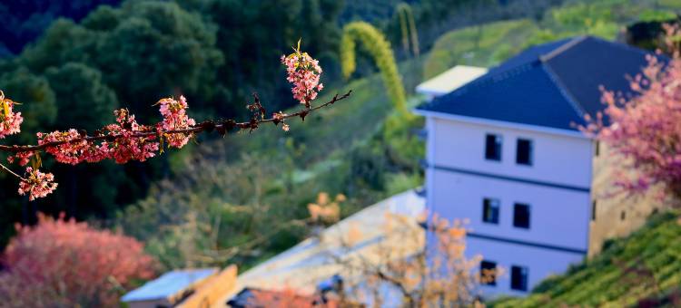 煦和居民宿(无量山樱花谷店)图片