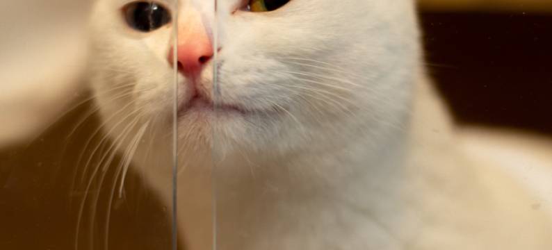 归野客栈(康新公路秀沿路地铁站店)图片