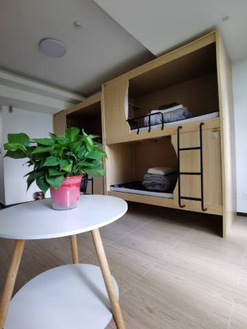 小海豚公寓(石路山塘街店)