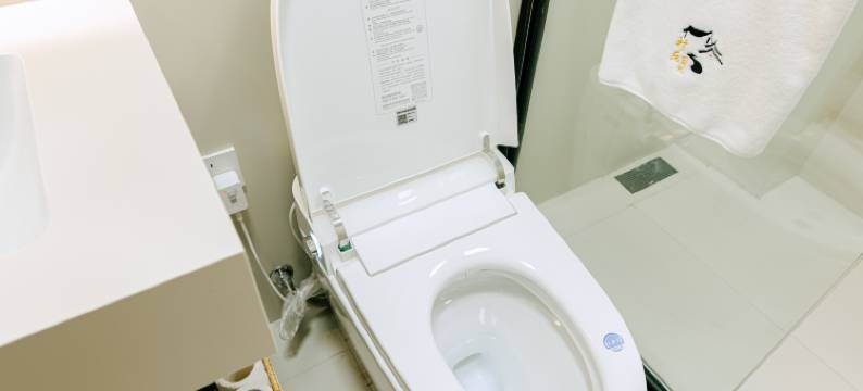 村居日记民宿(黄山北站西溪南古村落店)图片