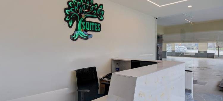 Hotel Tree Suites Next Airport Inn图片