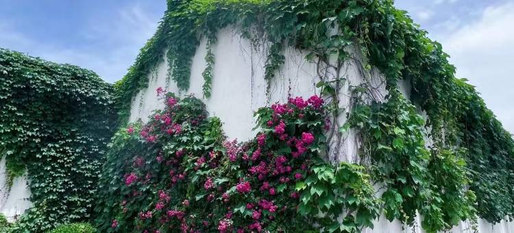 鹿鸣·设计师影院公寓(常州站五角场地铁站店)图片