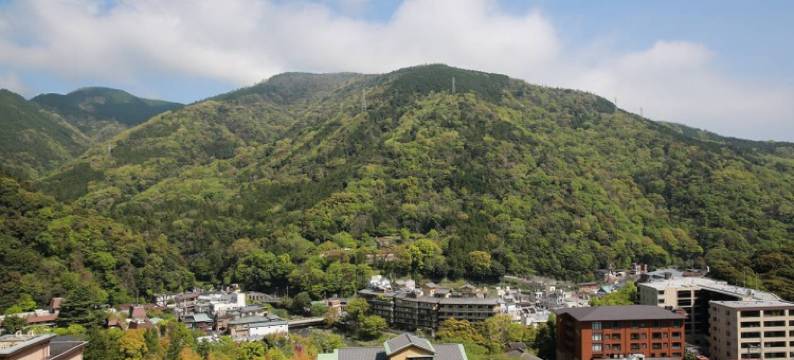 箱根汤本 Aura橘酒店(Hakone Yumoto Aura Tachibana)图片