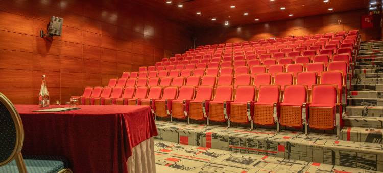 VIP行政艺术酒店(VIP Executive Arts Hotel)图片