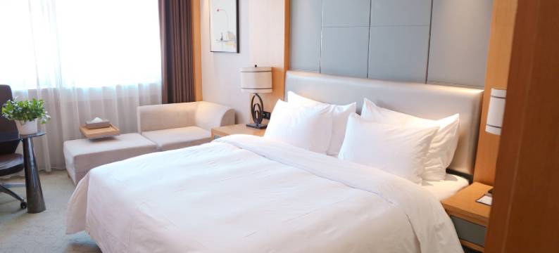 郑州新亚国际大酒店(郑州二七广场大卫城店)图片