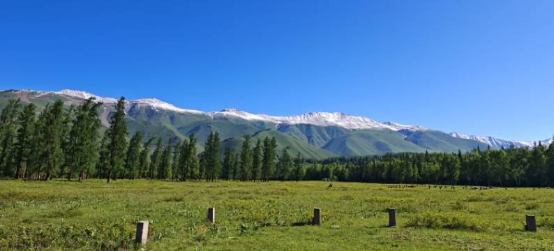 秘境蜂舍(吉克普林滑雪场东区店)图片