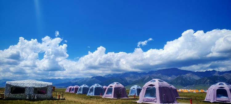 赛里木湖博君一肖星空营地图片