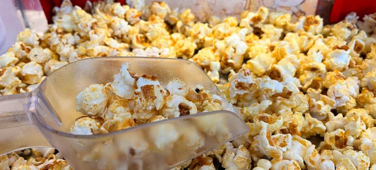 艾维亚丽呈酒店(古城区店)图片