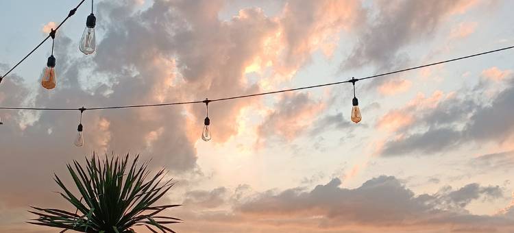 美娜多罗杰斯酒店(Rogers Hotel Manado)图片